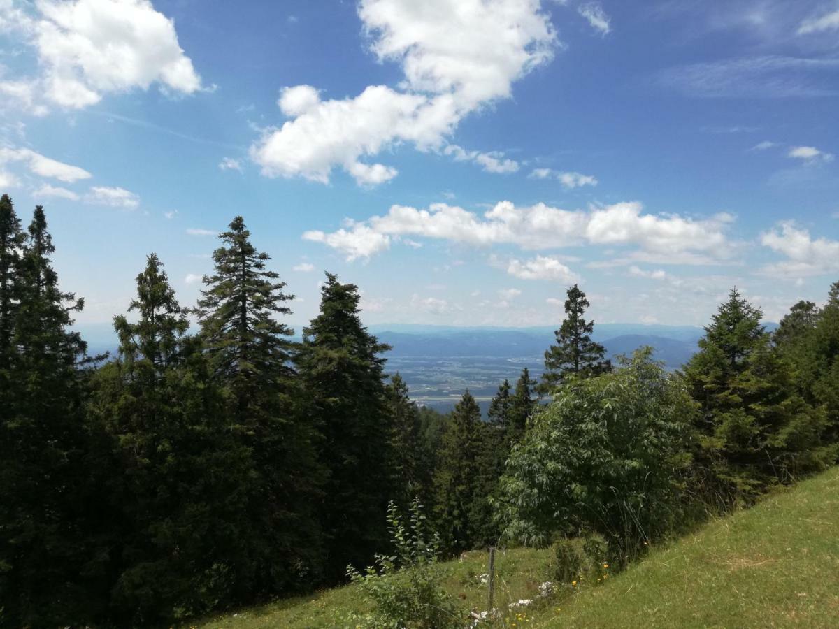 Apartmaji Vrhovnik Cerklje na Gorenjskem Exteriör bild
